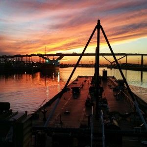 Meet your Posher, Gene